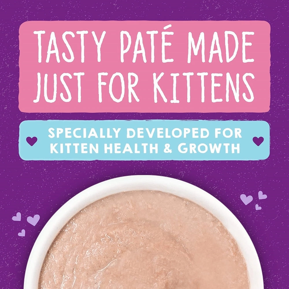 Carnivore Cravings  Kitten Chicken & Salmon 100% Complete Balance Diet Recipe Wet Cat Can