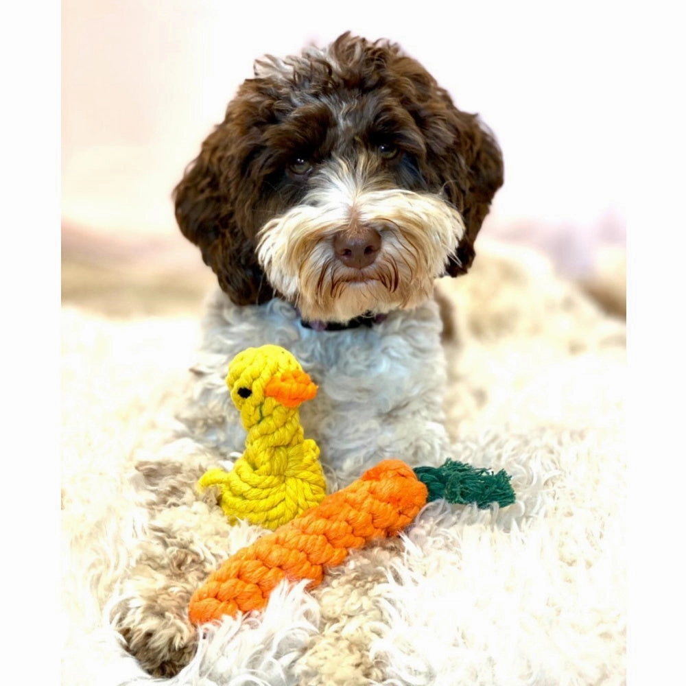 Carrot Rope Dog Toy