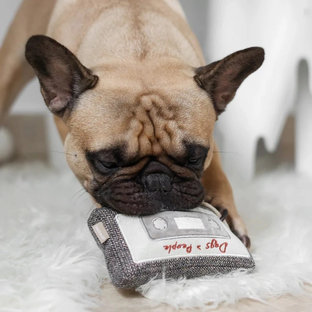 Cassette Snuffle   Squeaky Dog Toy