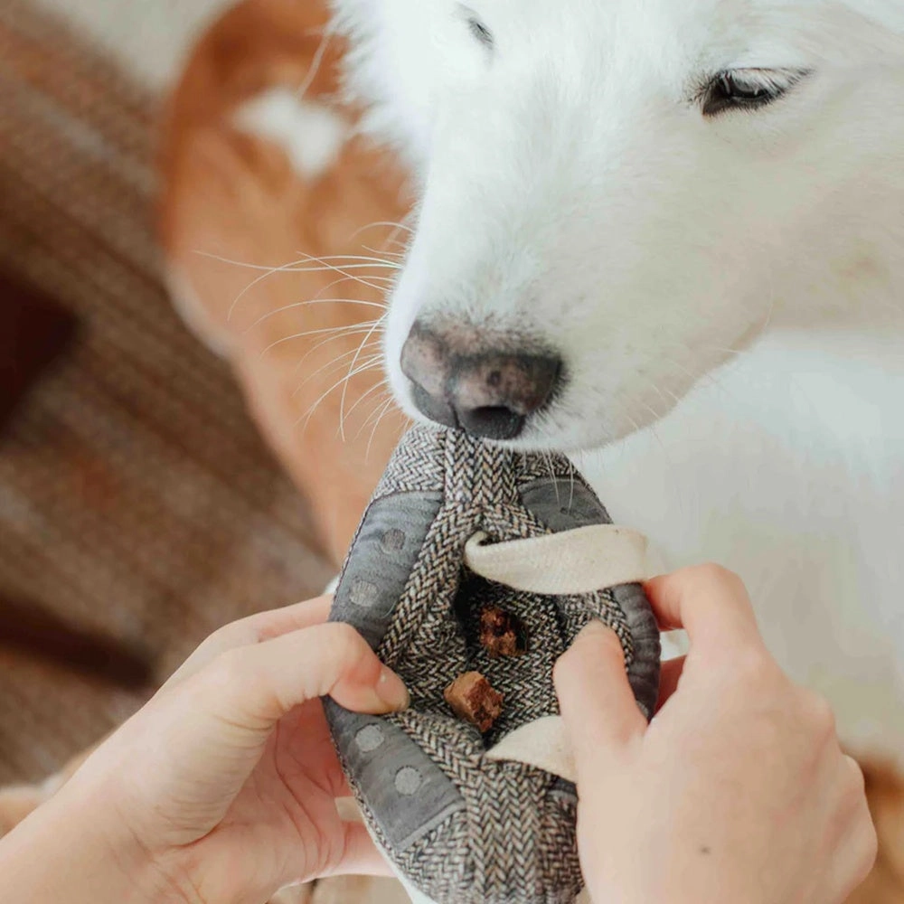 Cassette Snuffle   Squeaky Dog Toy