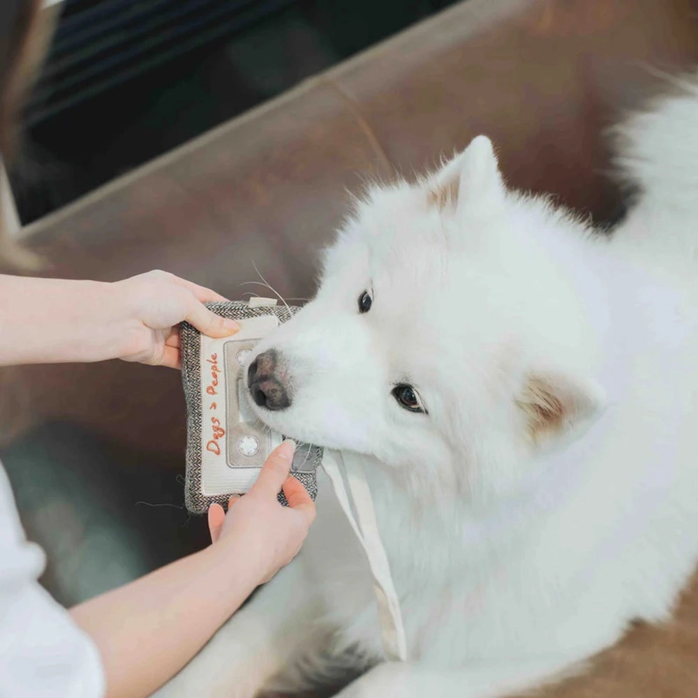 Cassette Snuffle   Squeaky Dog Toy