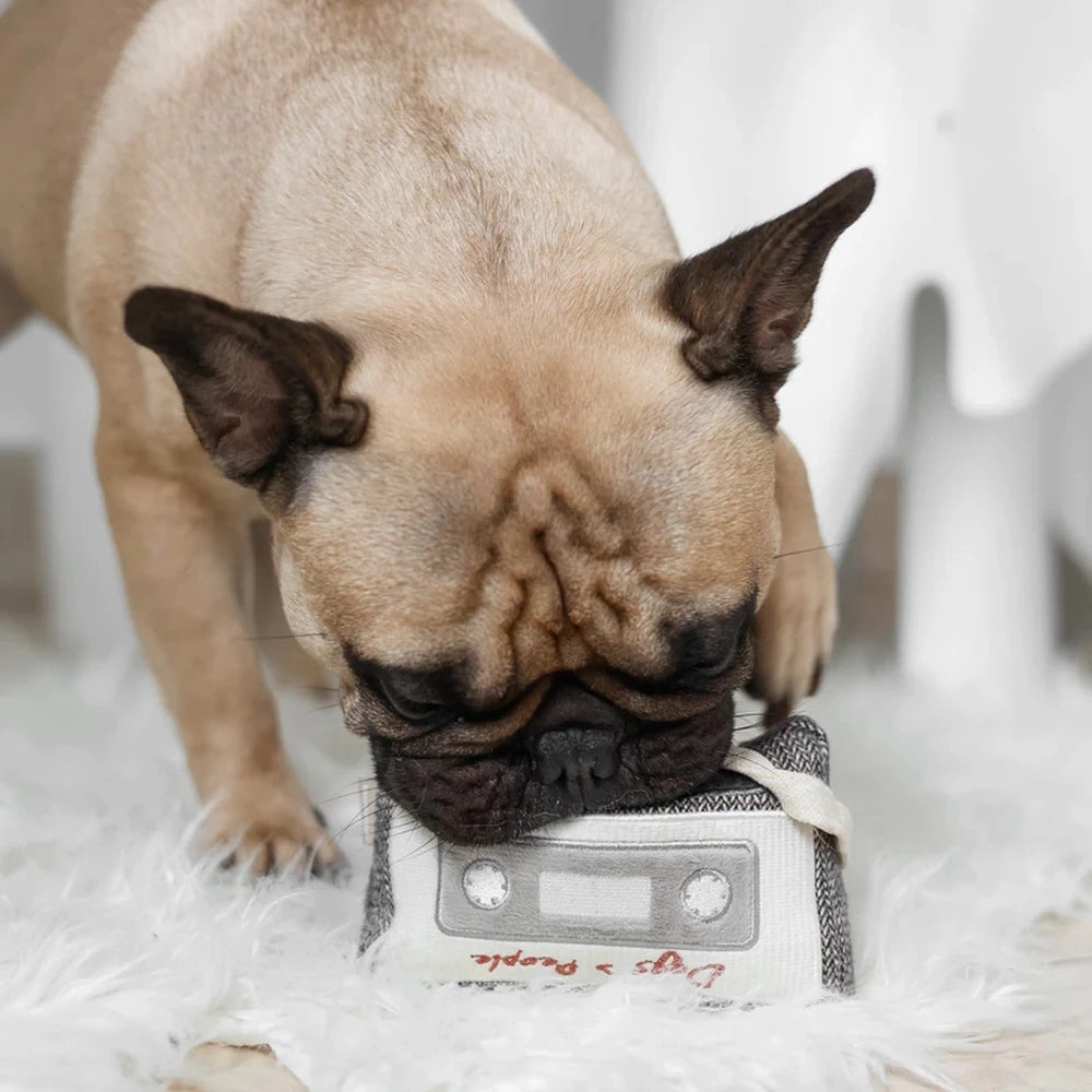 Cassette Snuffle   Squeaky Dog Toy