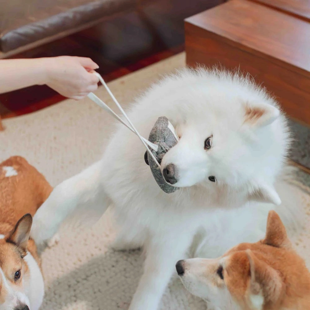 Cassette Snuffle   Squeaky Dog Toy