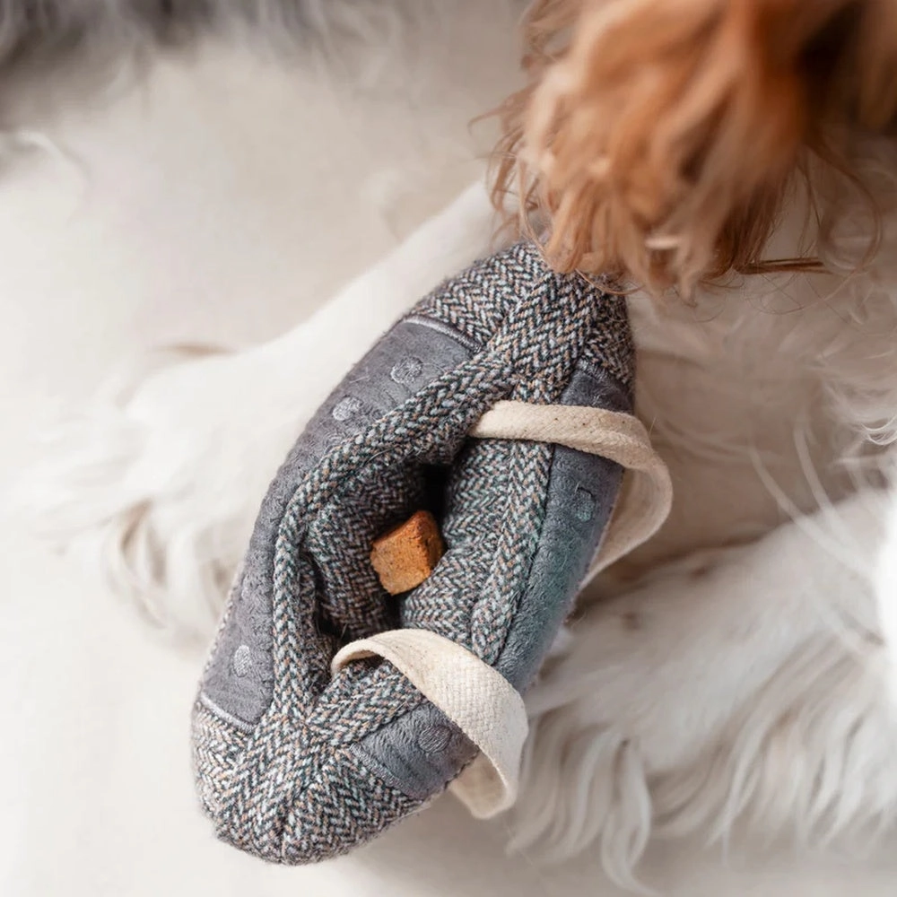 Cassette Snuffle   Squeaky Dog Toy