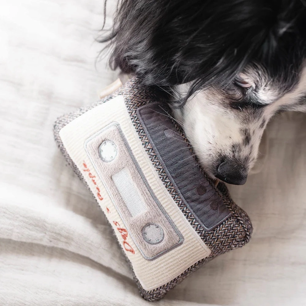 Cassette Snuffle   Squeaky Dog Toy
