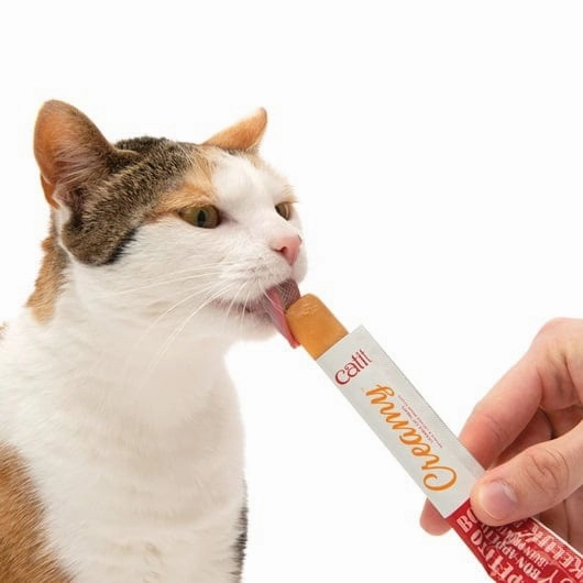 Catit Creamy Lickable Salmon Recipe Cat Treat