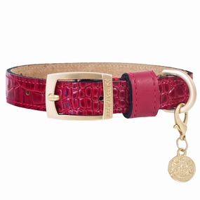 Cayman Collection Dog Collar Ferrari Red
