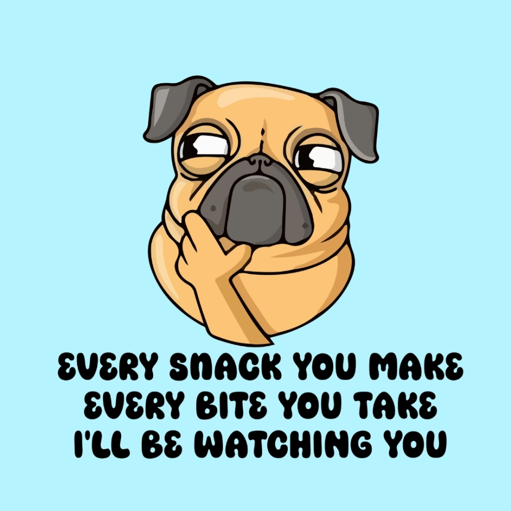 Cheeku I'll Be Watching You Graphic Cotton T Shirt for Dogs and Cats (Sky Blue)