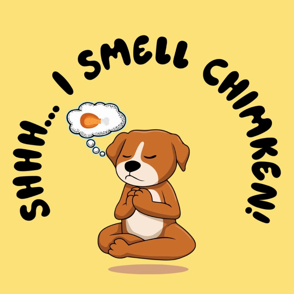Cheeku I Smell Chimken Graphic Cotton T Shirt for Dogs and Cats (Primerose Yellow)