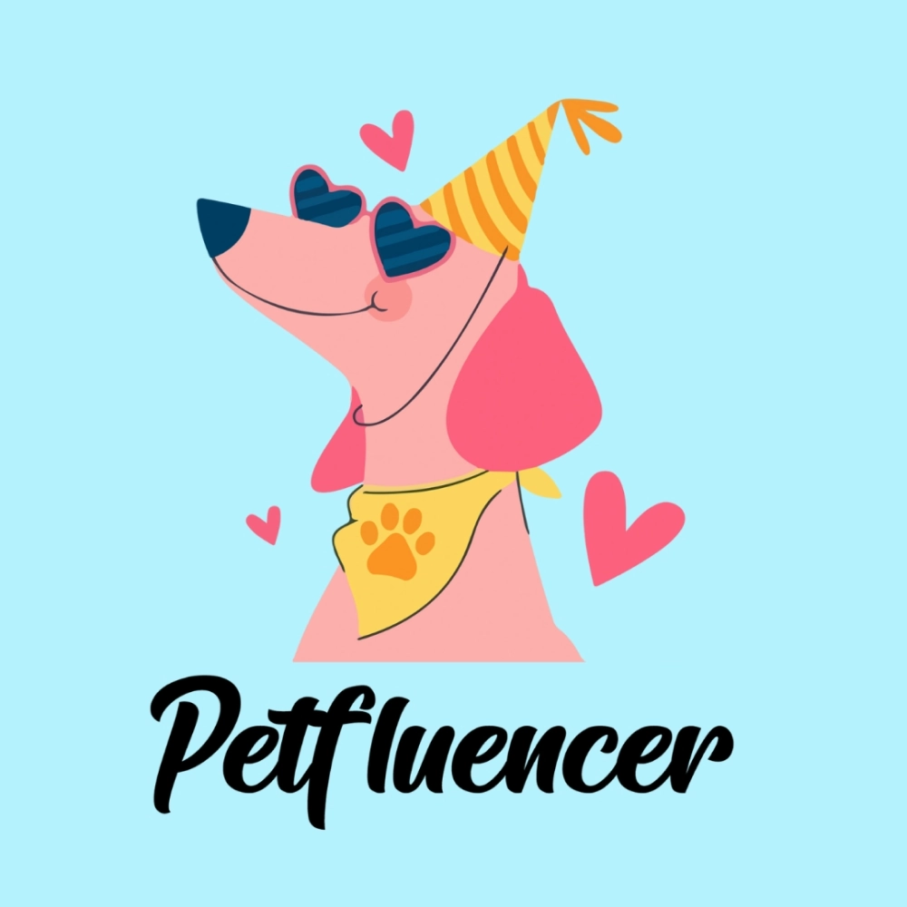 Cheeku Petfluencer Graphic Cotton T Shirt for Dogs and Cats (Sky Blue)