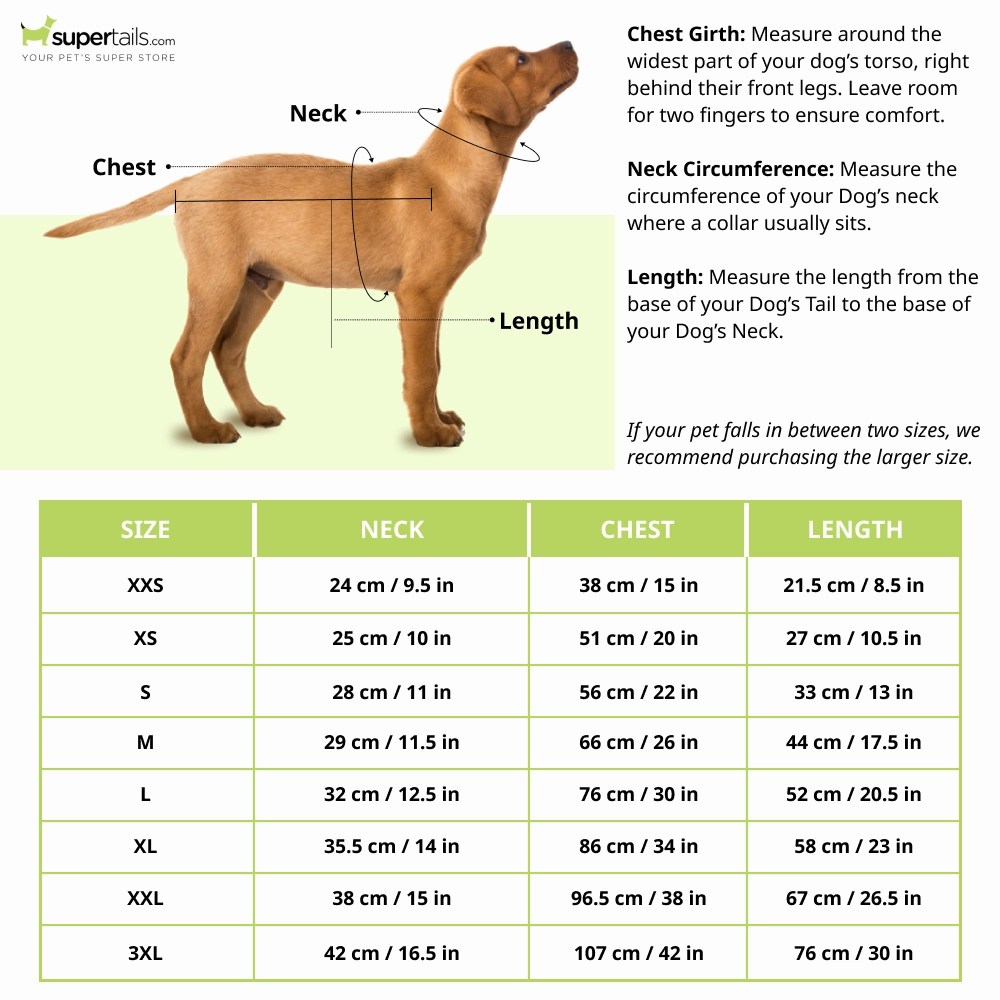Cheeku Petfluencer Graphic Cotton T Shirt for Dogs and Cats (Sky Blue)