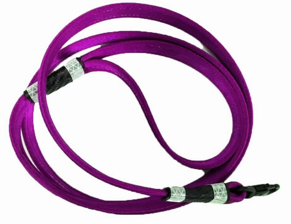 Chew Proof Tuff Leash 6'