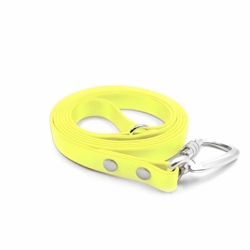 Chew Proof Tuff Leash 6'