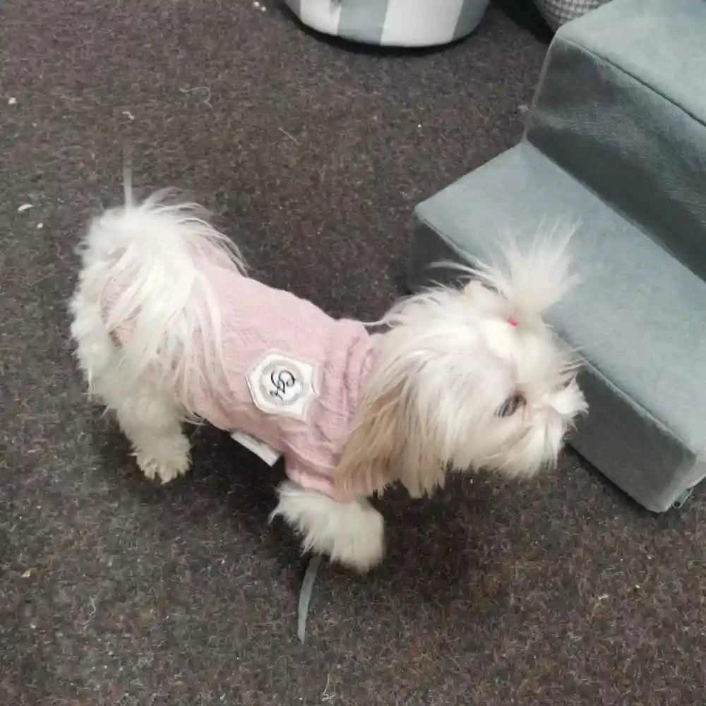 Chloe's Home Aspen Sweater for Dogs (Beige)
