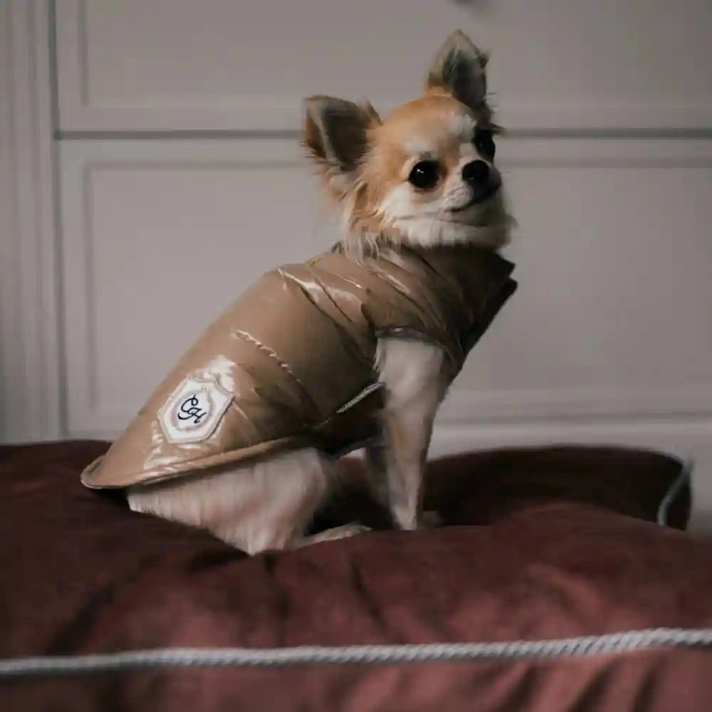 Chloe's Home Bergamo Vest Sweatshirt for Dogs (Red)
