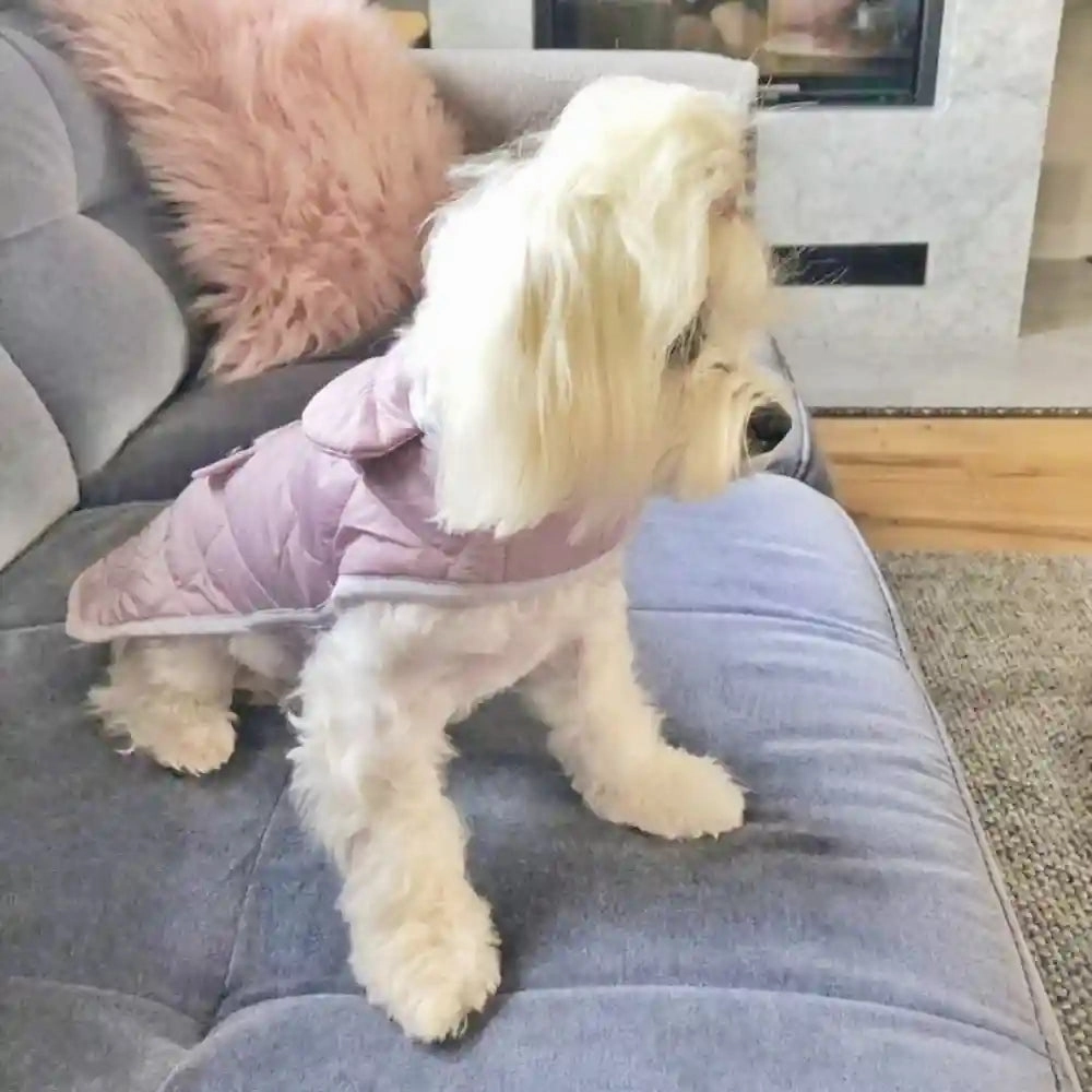 Chloe's Home Sienna Jacket for Dogs (Pink)