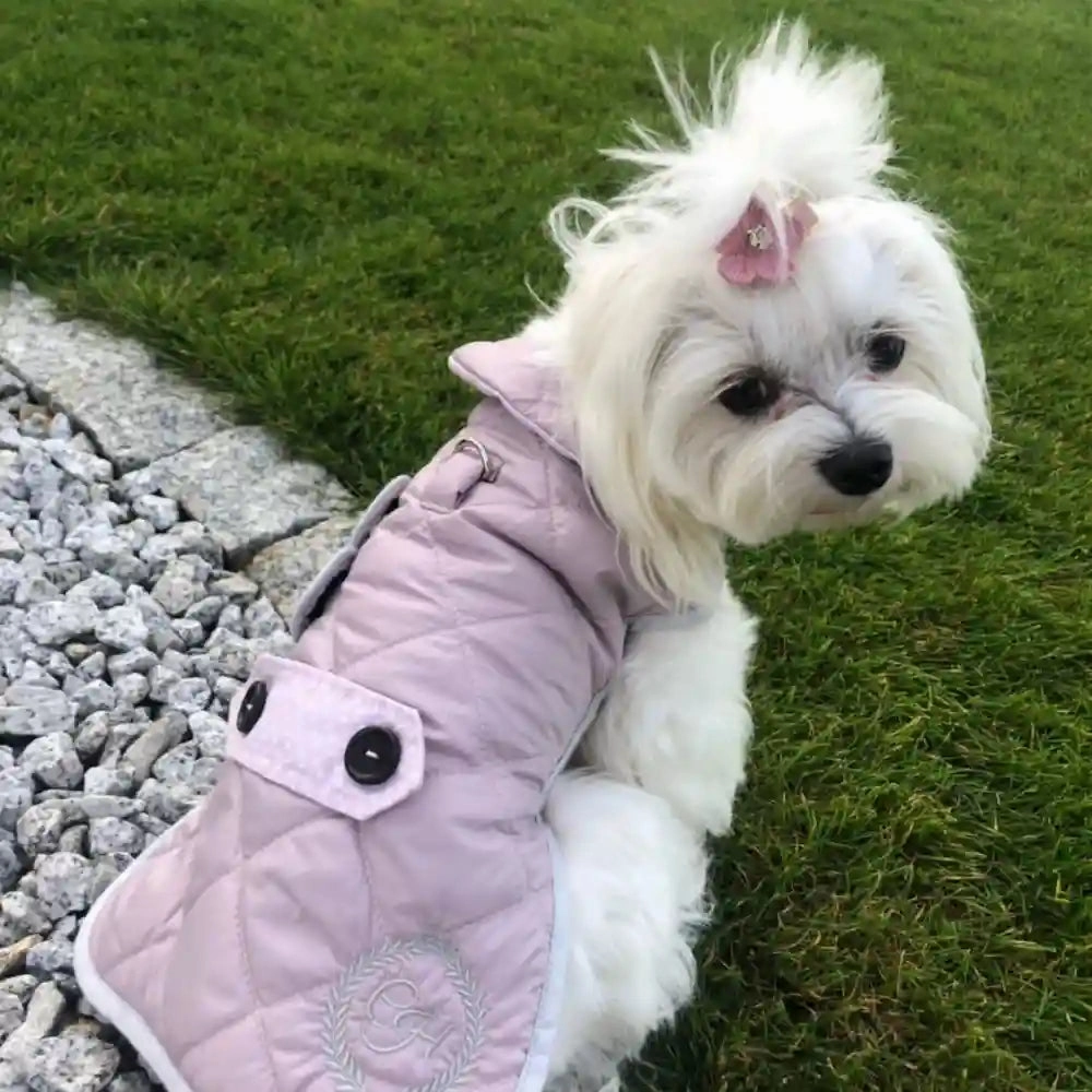 Chloe's Home Sienna Jacket for Dogs (Pink)