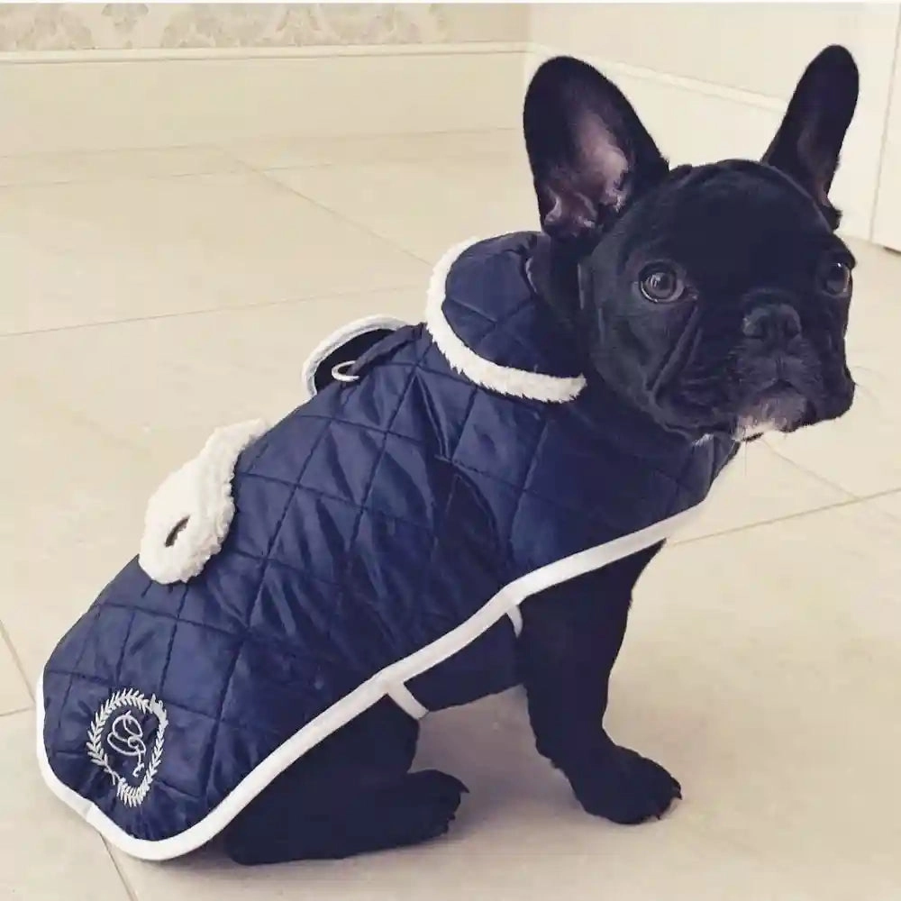 Chloe's Home Sienna Winter Jacket for Dogs (Blue)