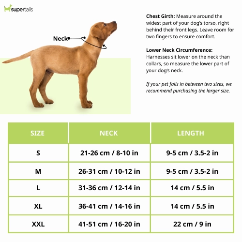 Chloe's Home Stockholm Warm Bandana for Dogs (Green)