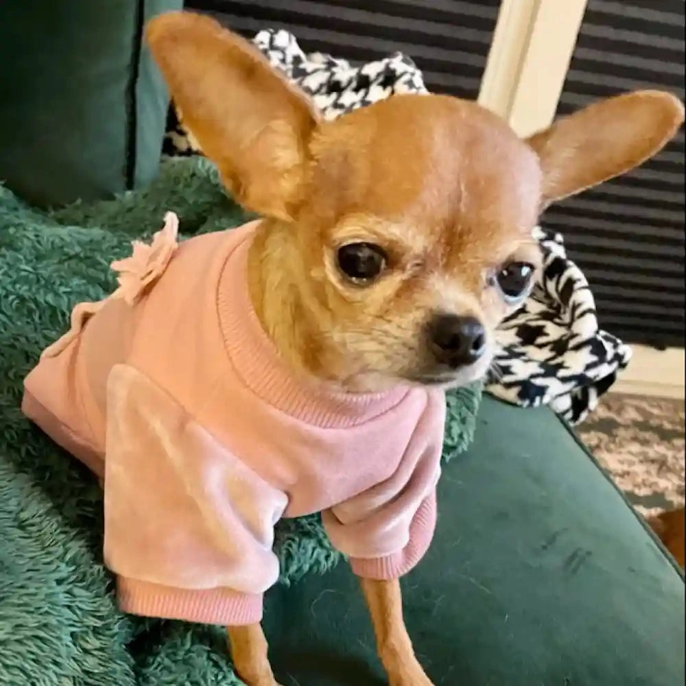 Chloe's Home Velvet Pajama Blouse for Dogs (Pink)