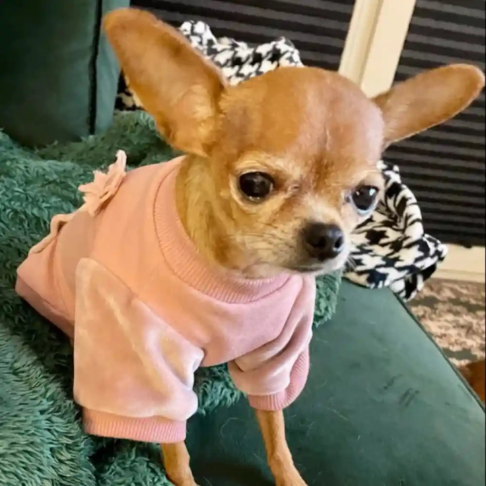 Chloe's Home Velvet Pajama Blouse for Dogs (Pink)