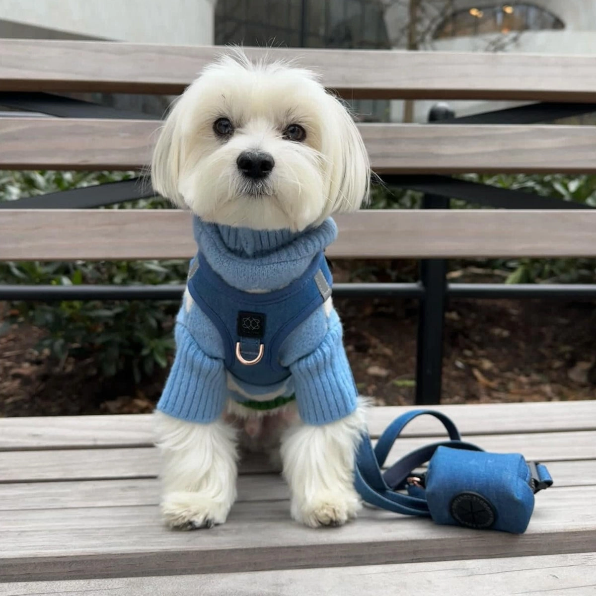 City Dog Leash Denim