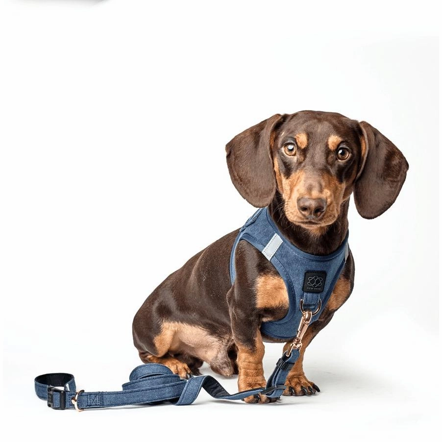 City Dog Leash Denim