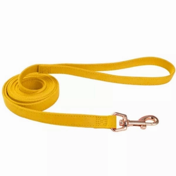 Coastal Accent Microfiber Dog Leash