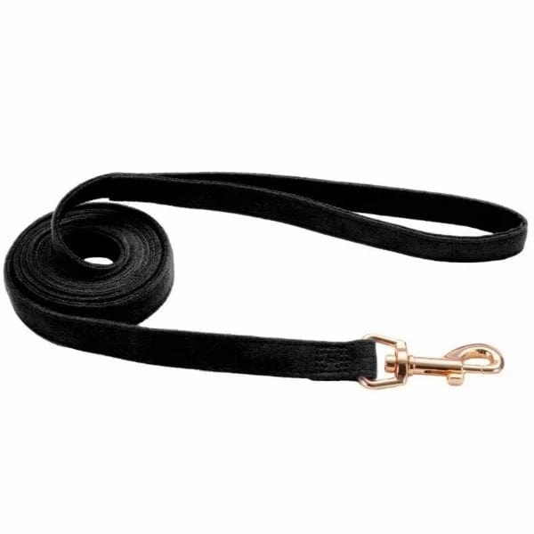 Coastal Accent Microfiber Dog Leash