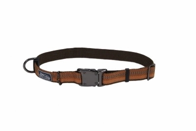 Coastal K9 Explorer Reflective Dog Collar