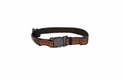 Coastal K9 Explorer Reflective Dog Collar