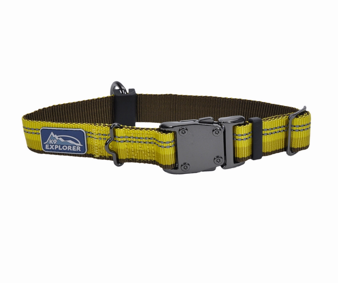 Coastal K9 Explorer Reflective Dog Collar