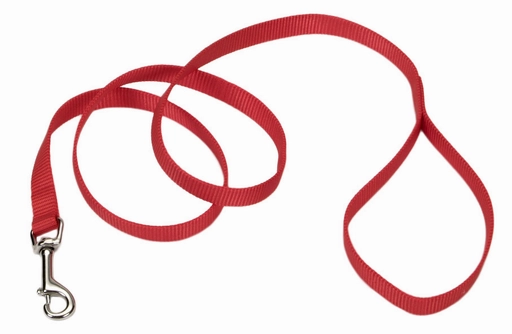 Coastal Single-Ply Nylon Leash
