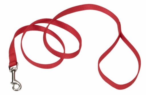 Coastal Single-Ply Nylon Leash