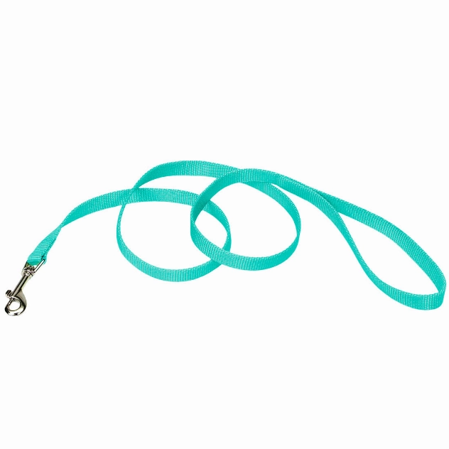 Coastal Single-Ply Nylon Leash