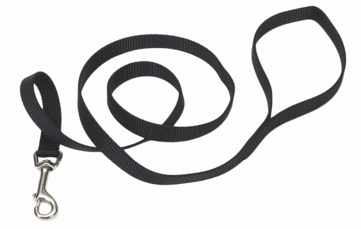 Coastal Single-Ply Nylon Leash