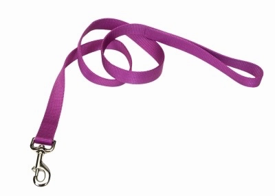 Coastal Single-Ply Nylon Leash