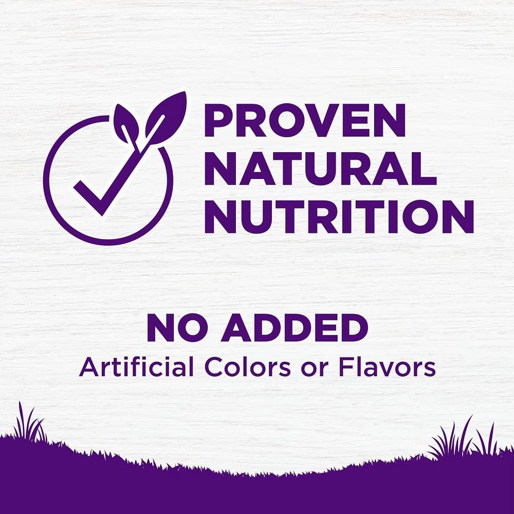 Complete Health Chicken Senior Dog Dry Food