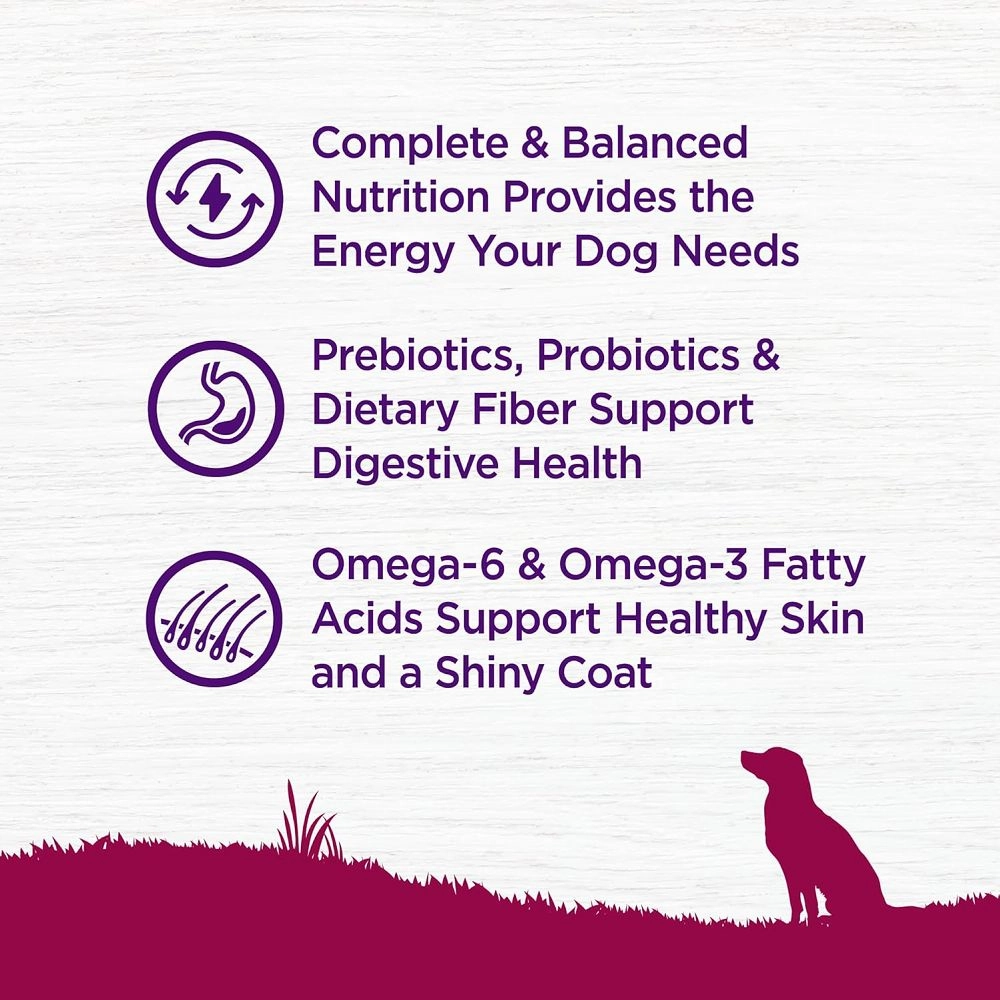 Complete Health Turkey & Oatmeal Small Breed Adult Dog Dry Food