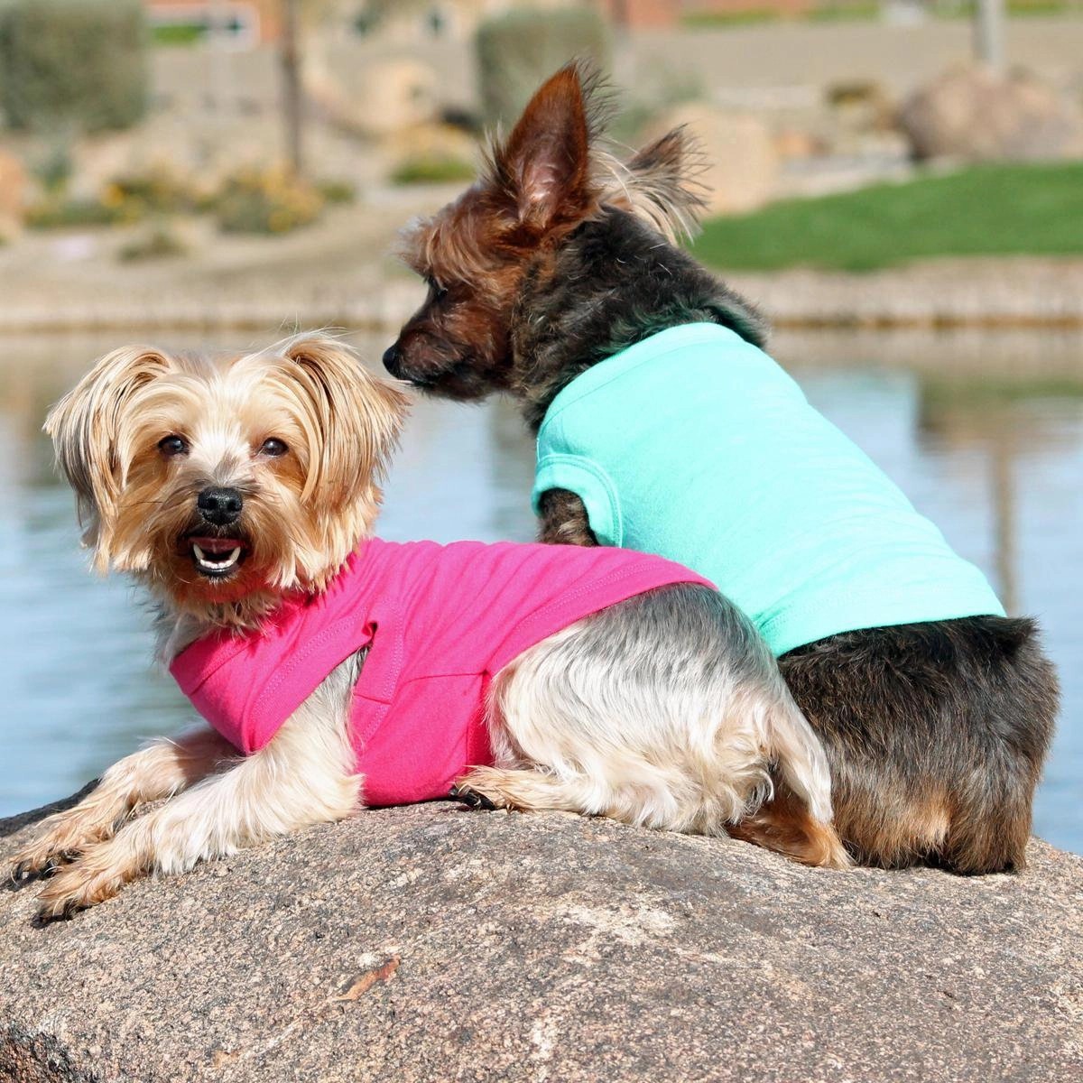 Cotton Dog Tank Raspberry Sorbet