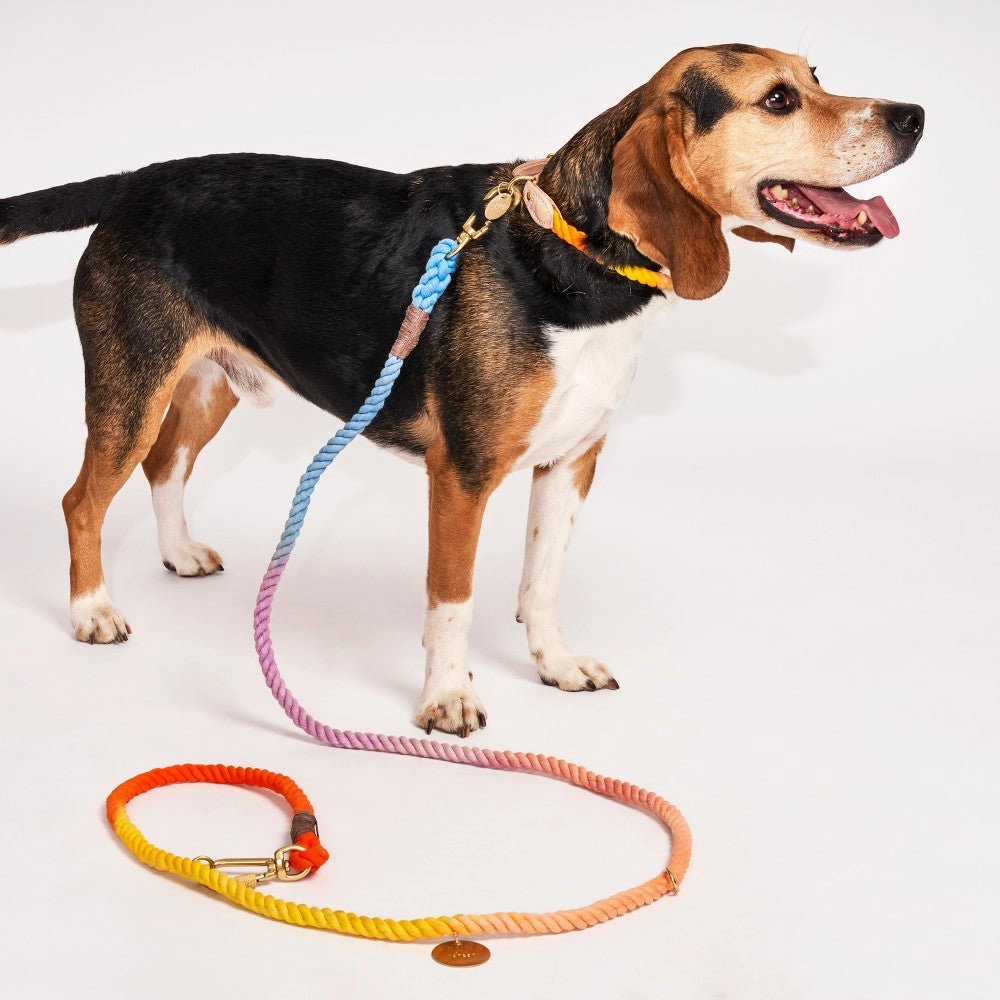 Cotton Rope Dog Collar Soleil Ombre