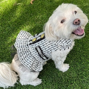 Country Club Black/White Tweed