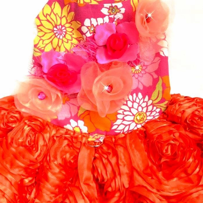 Countryside Glamour Flowers Dog Dress