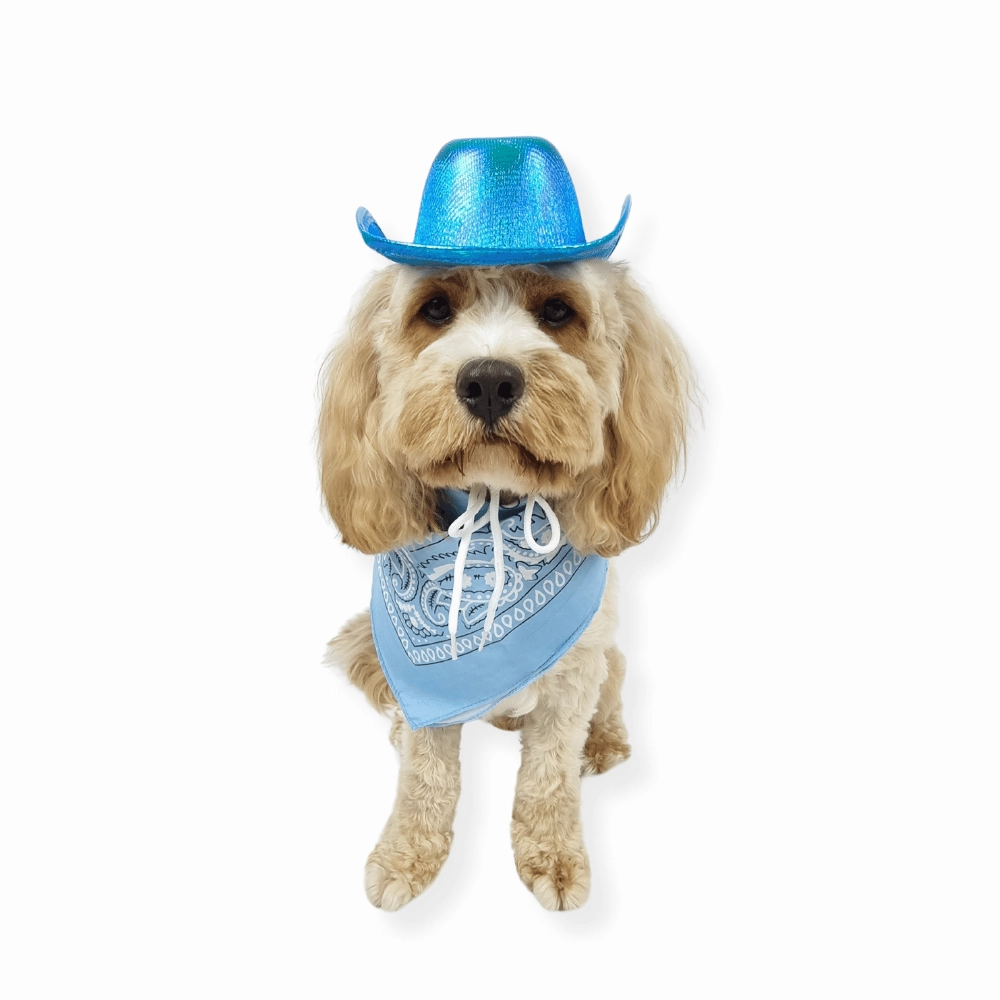Cowboy Dog Hat and Bandana: Blue