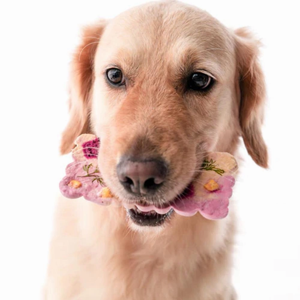 Cronch Bars Duck breast Freeze Dried Treats for Dogs and Cats