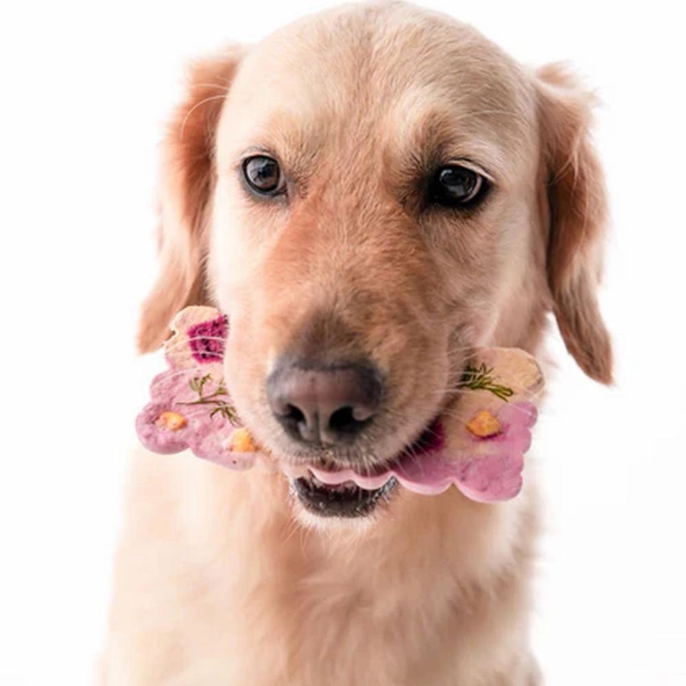 Cronch Bars Pork Tenderloin Freeze Dried Treats for Dogs and Cats