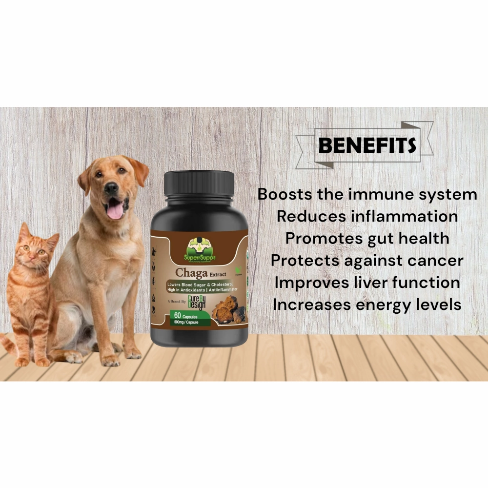 Cure By Design Chaga Mushroom Capsules for Dogs and Cats
