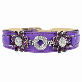 Daisy Collection Dog Collar Grape/Amethyst