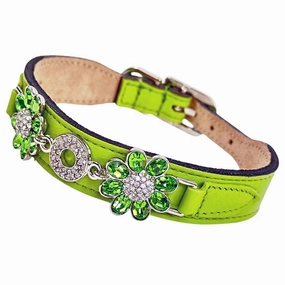 Daisy Collection Dog Collar Lime Green