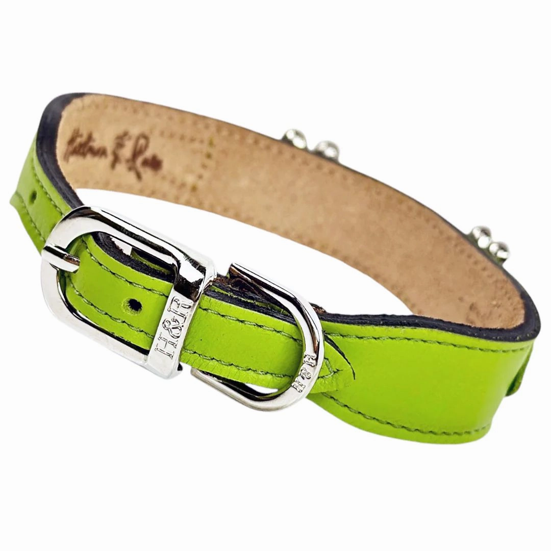 Daisy Collection Dog Collar Lime Green